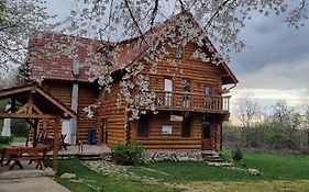 Valea Vistisoarei